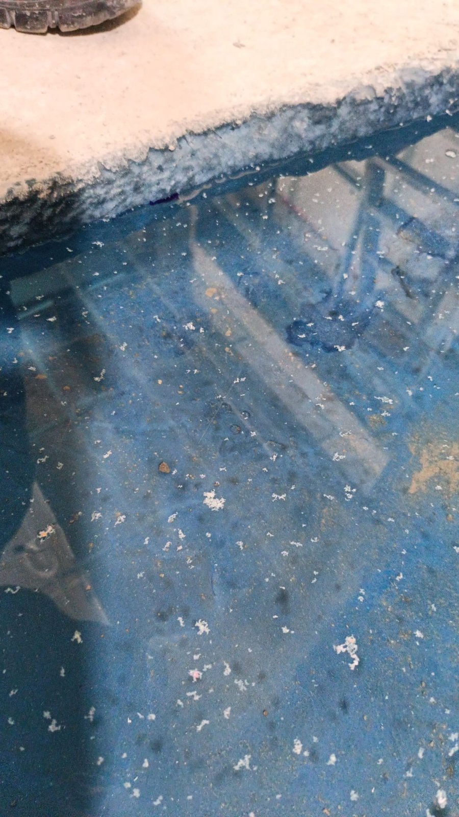 Pond flood test over blue waterproofing membrane