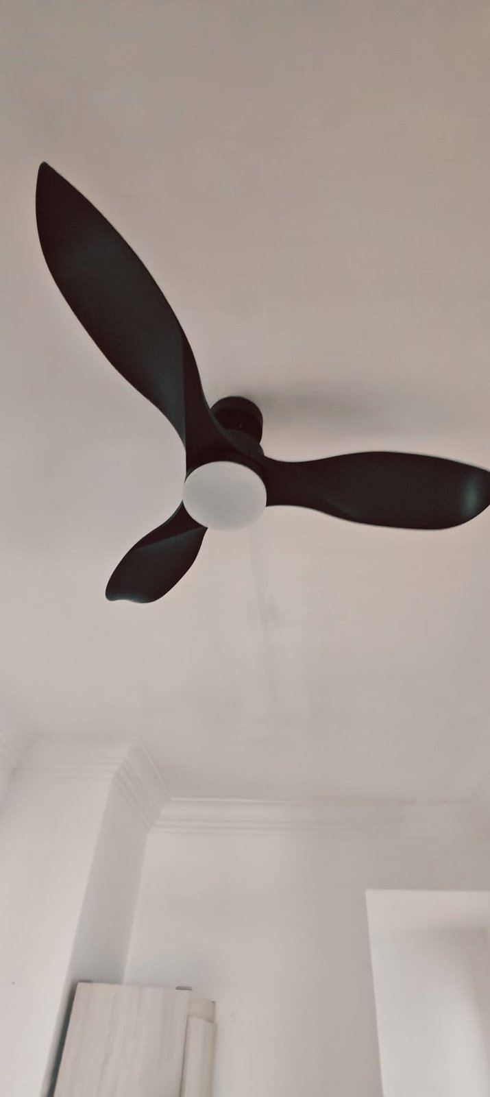 Black three-blade ceiling fan with light installed