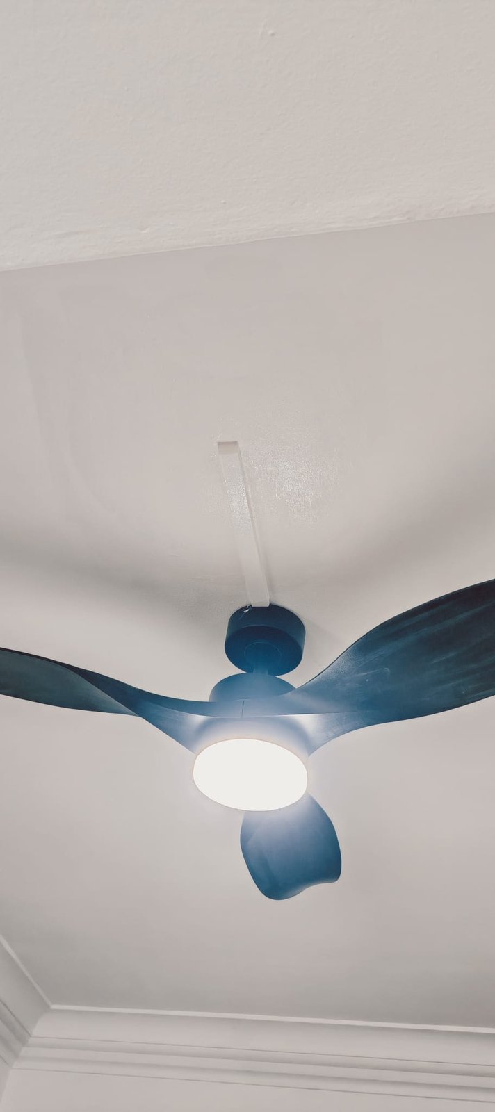 Ceiling fan with light installed in a residential room